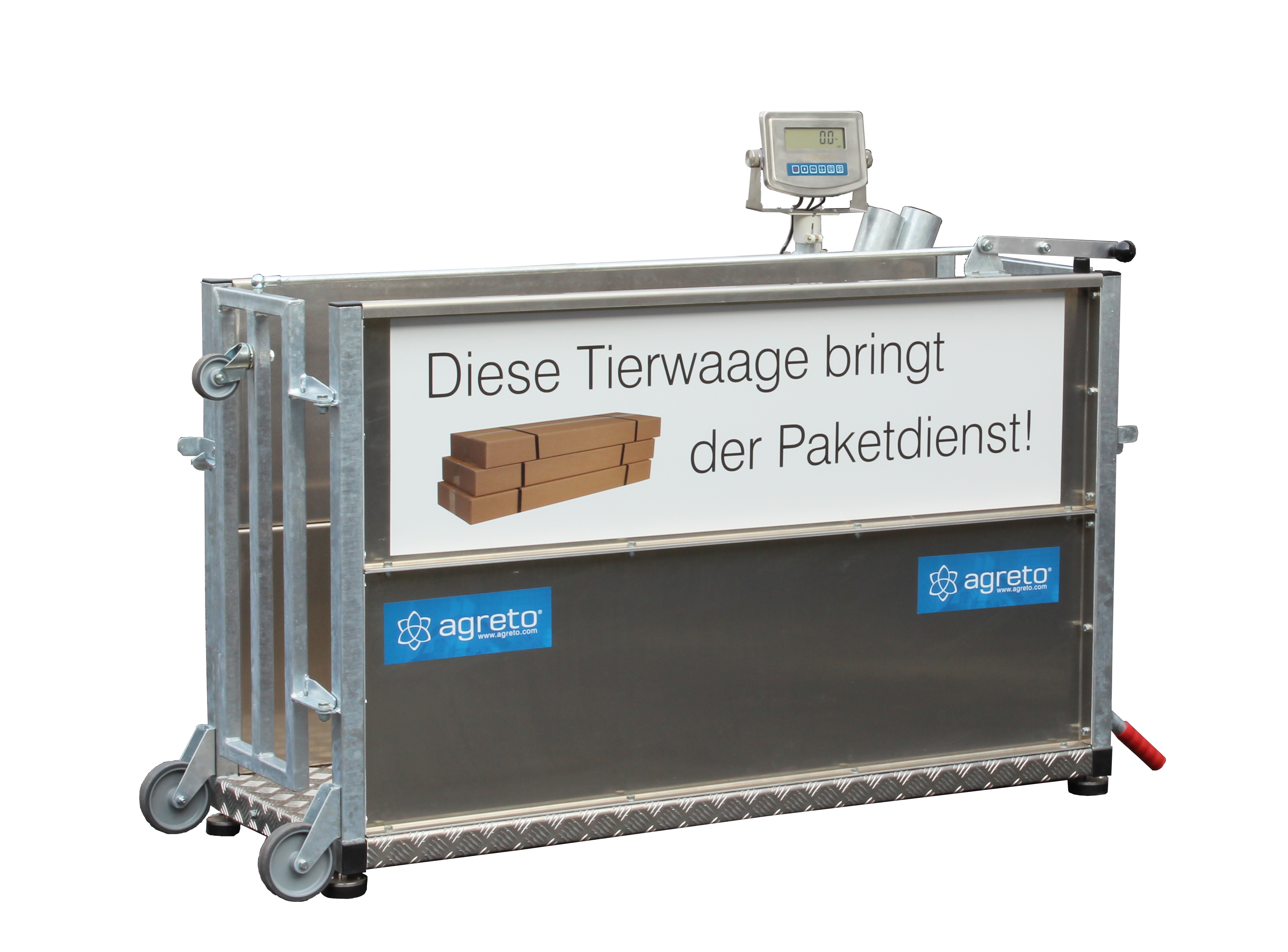 Goat Pigs Digital Indicator Included 44″ x 22″ Donkey Calf Sheep