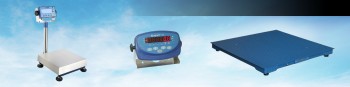 Platform scales
